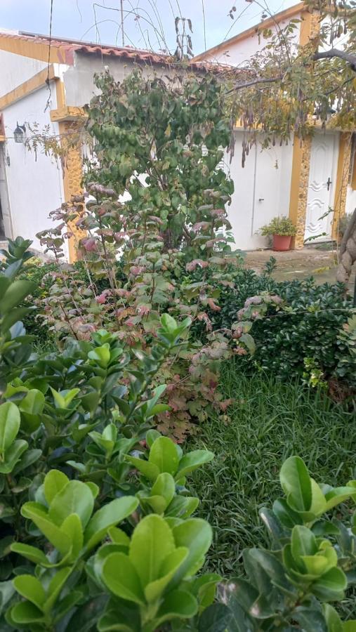 Casa Dos Gansos Perais Exterior foto